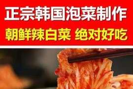 正宗韩国泡菜朝鲜辣白菜制作方法视频教程特色小吃配方技术